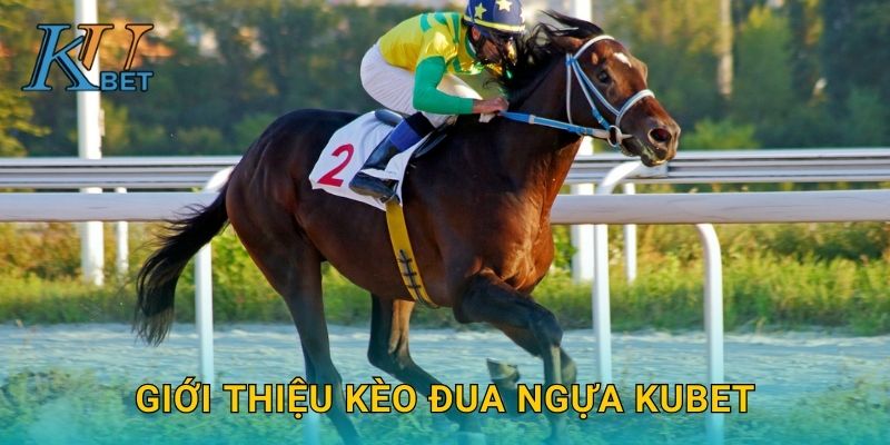 Giới thiệu kèo đua ngựa Kubet