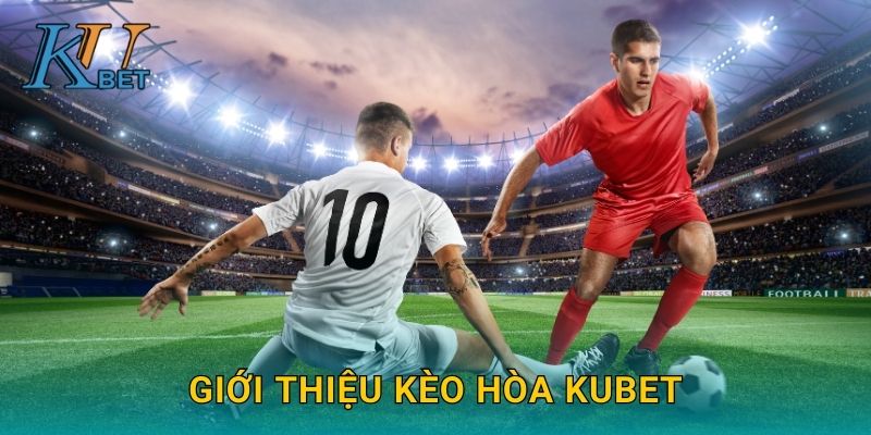 Giới thiệu kèo hòa Kubet