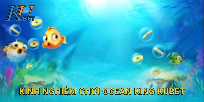 Ocean King Kubet và bí quyết thắng lớn cùng Kubet 3 Kinh nghiệm chơi Ocean King Kubet