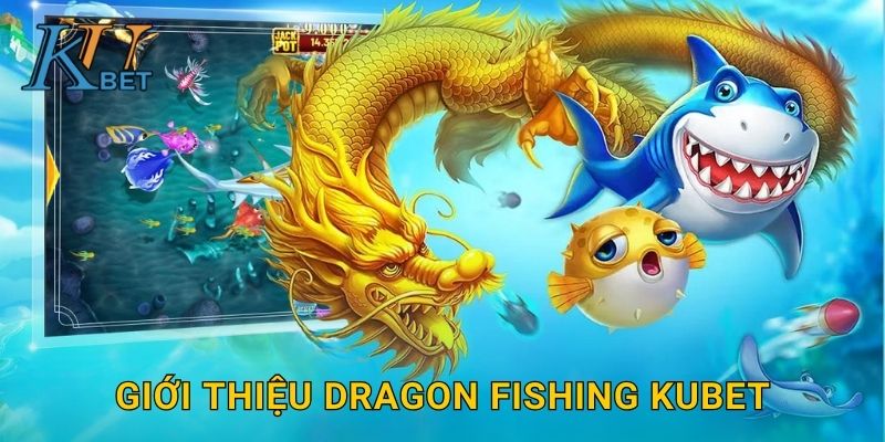 Dragon Fishing Kubet và thử thách săn rồng biển Kubet 2 Giới thiệu Dragon Fishing Kubet