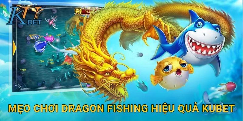 Dragon Fishing Kubet và thử thách săn rồng biển Kubet 3 Mẹo chơi Dragon Fishing hiệu quả Kubet
